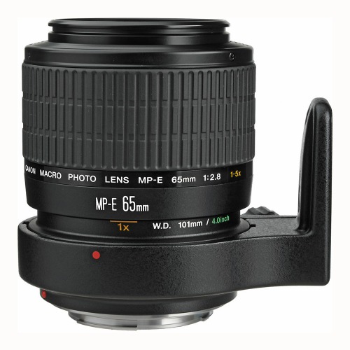 캐논 MP-E 65mm F2.8 1-5x Macro photo 렌즈